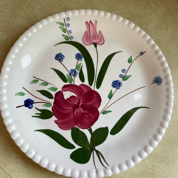 Blue Ridge Southern Pottery Floral 
Hand Painted Dinner Plate 10.25"
RARE - Picture 4 of 5